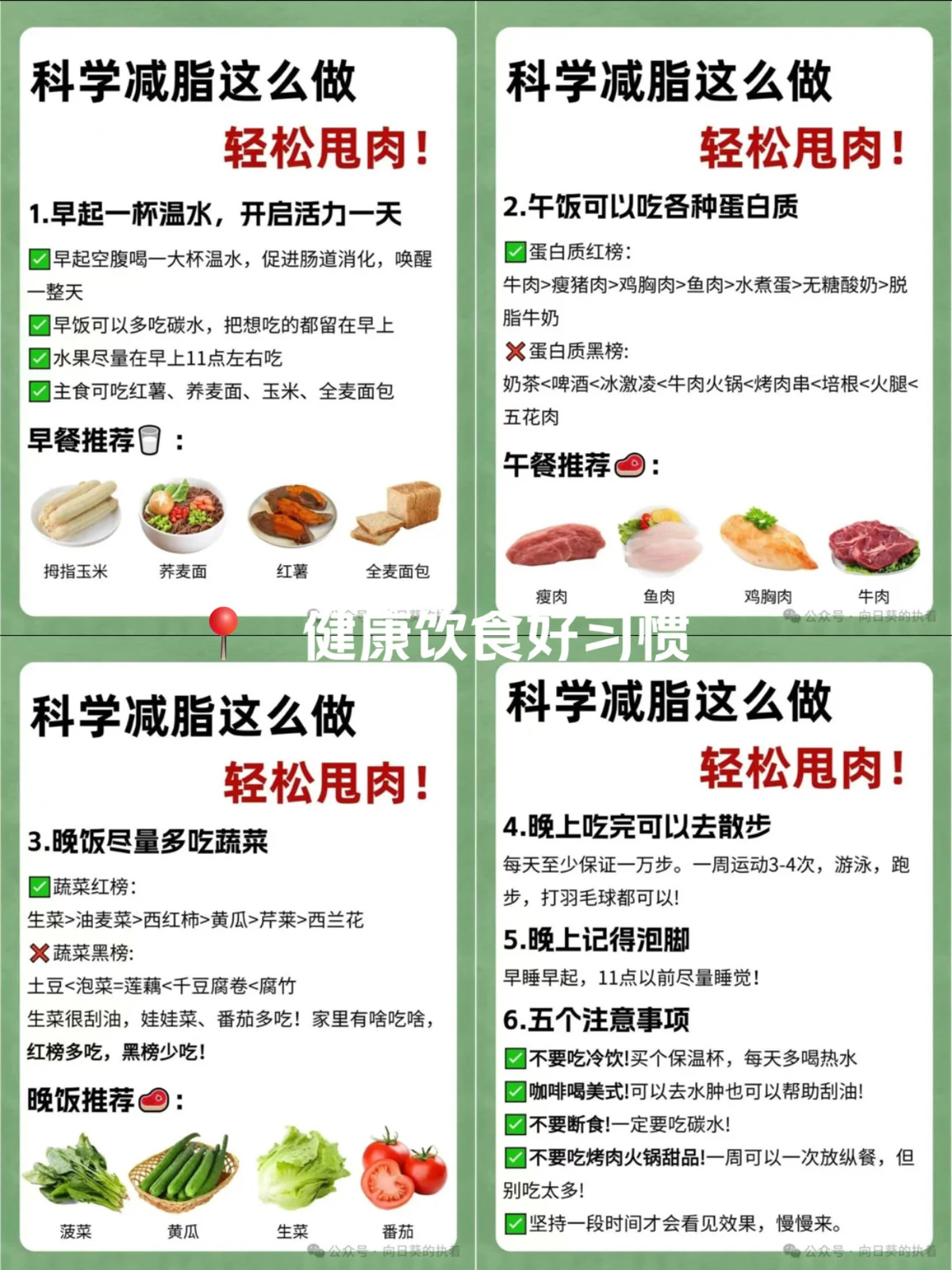 大学生前锋的职业发展规划_1